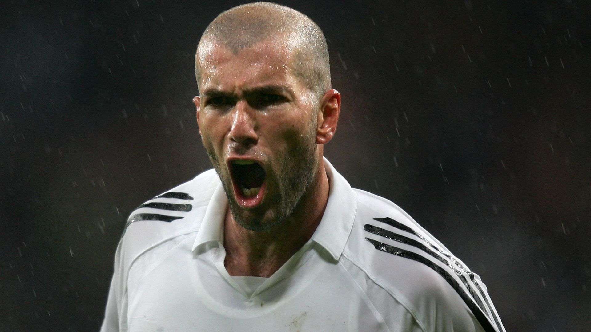 来自巴西的 来自巴西的